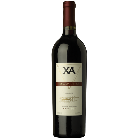 XA DOMECQ CABERNET 750 ML